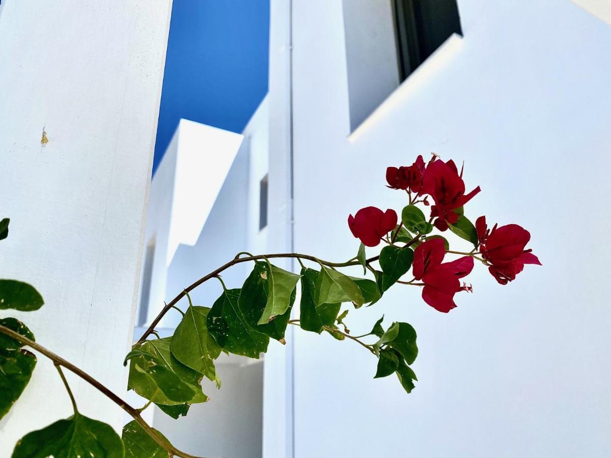 Harmony - 200 M From The Sea Vakantiehuis Gennadi